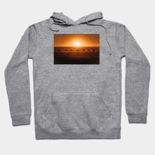 Safari Shadows Hoodie